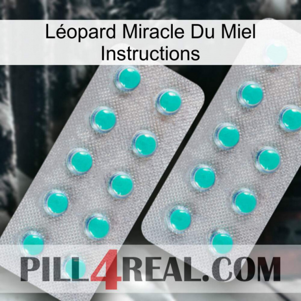 Léopard Miracle Du Miel Instructions 29